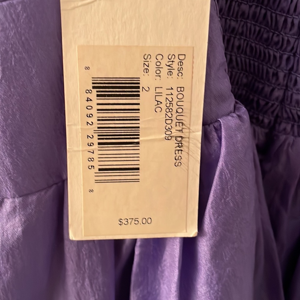 NWT - Silk, size 2, Rebecca Taylor Corset Dress. - Picture 4 of 5